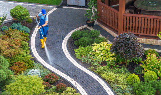 Best Local Pressure Washing Services  in Cinco Ranch, TX